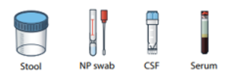Specimens should be collected (in order of priority)